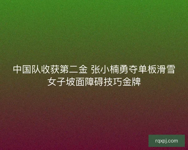 中国队收获第二金 张小楠勇夺单板滑雪女子坡面障碍技巧金牌 中国队收获第二金 张小楠勇夺单板滑雪女子坡面障碍技巧金牌